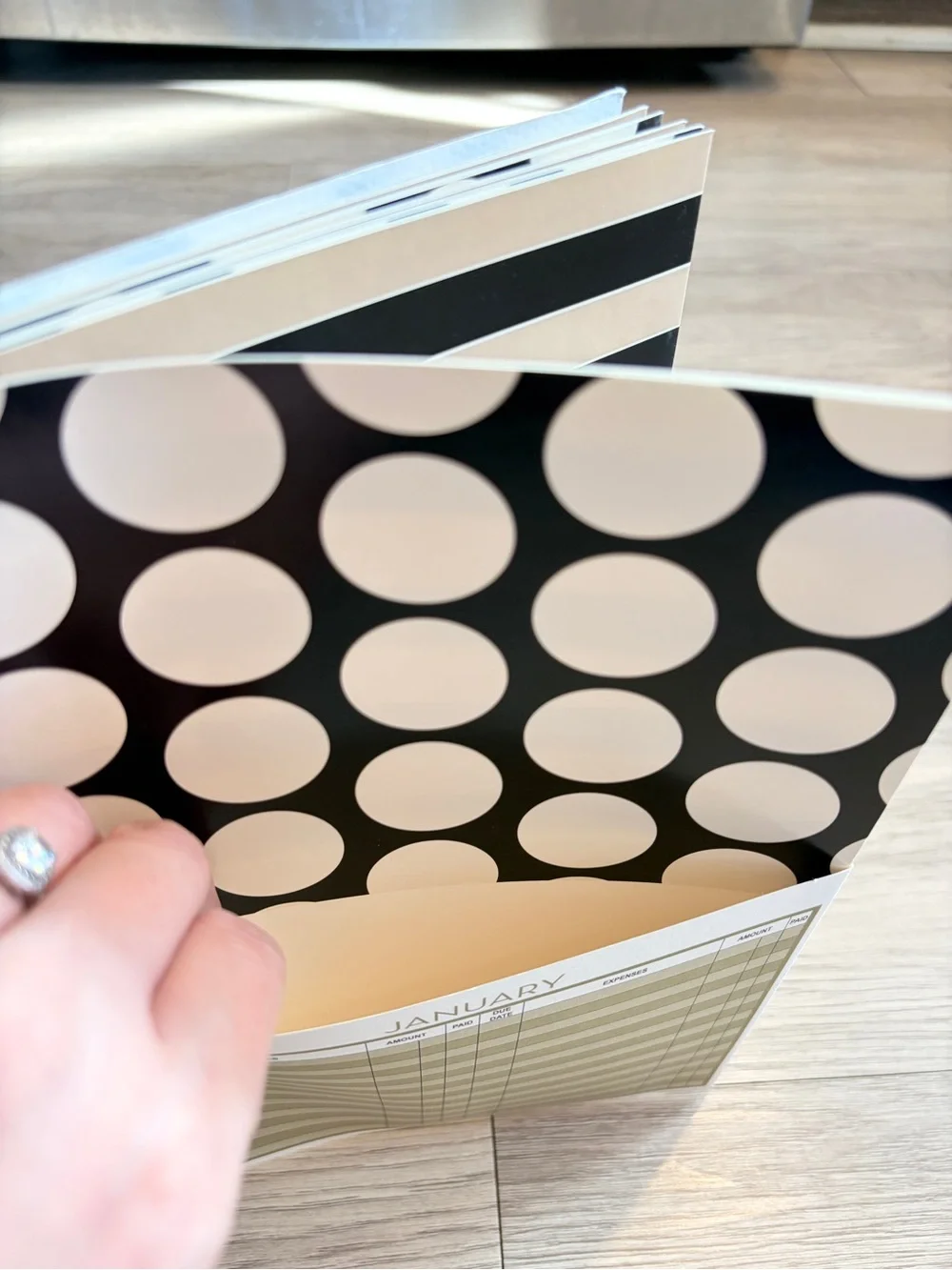 Financial Planner Spiral Notebook - Black & White